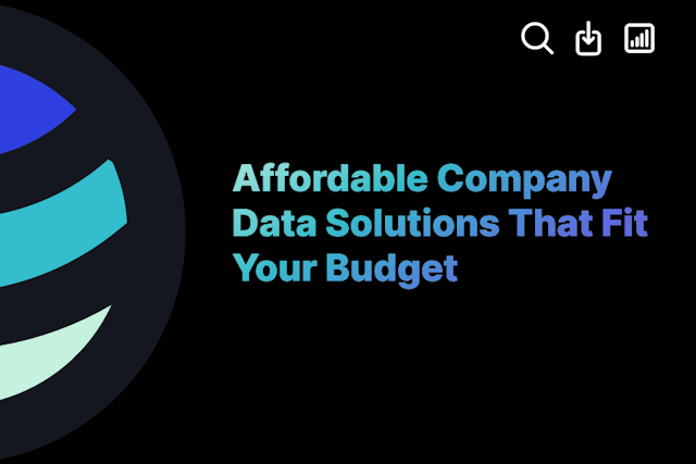 Affordable Company Data Solutions That Fit Your Budget