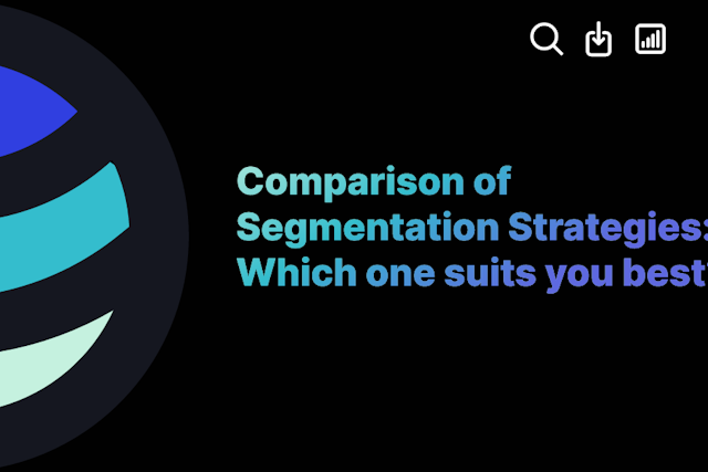 Comparison of Segmentation Strategies: Which one suits you best?