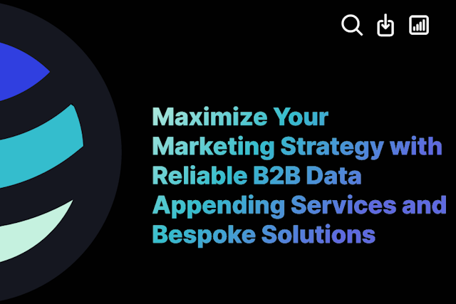 Maximize Your Marketing Strategy with Reliable B2B Data Appending Services and Bespoke Solutions